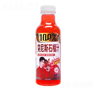 Ͽ100%ͻ˹ʯ֭500mlЪ(jing)棩