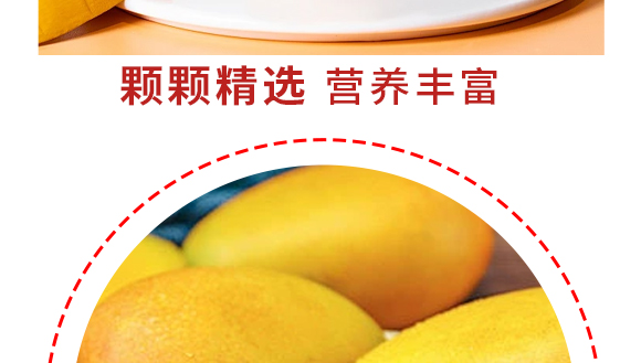河南增健綠色飲品有限公司-芒果產品畫冊1230_07 河南增健綠色飲品有限公司-芒果產品畫冊1230_07